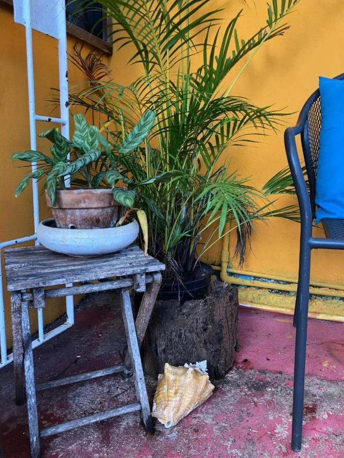 Bnb Somom Mobay Lodging Montego Bay Dış mekan fotoğraf